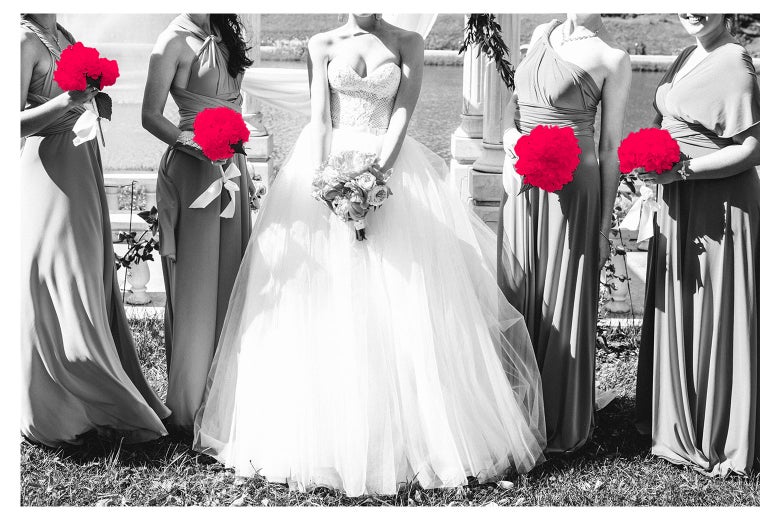 A less-than professional looking photo of a bridal party.